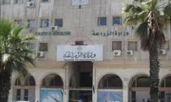 الزراعة توضح حقيقة تخصيص 65 مليار دينار لشراء الأعلاف